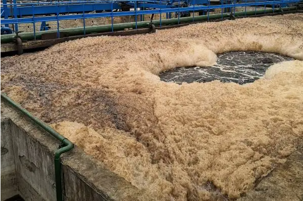（圖：垃圾滲濾液泡沫池）