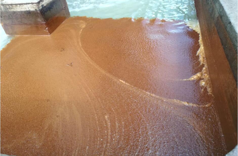 （圖：南輝水處理消泡劑應用）